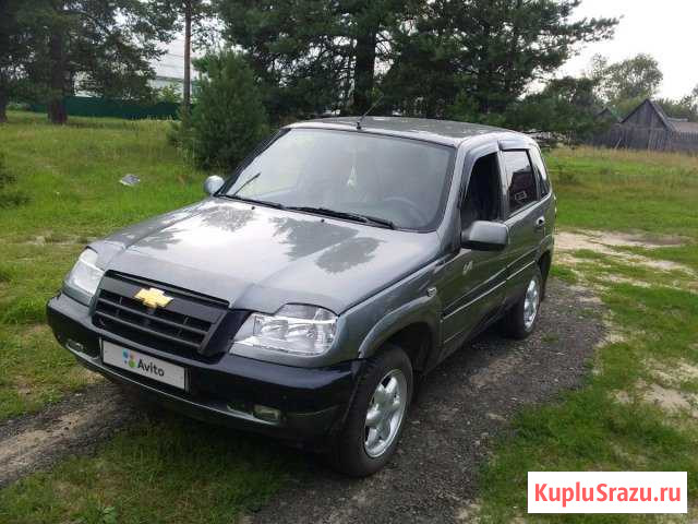 Chevrolet Niva 1.7 МТ, 2006, внедорожник Золотково - изображение 1