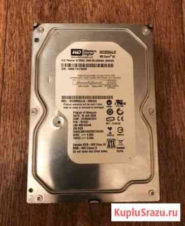 Жесткий диск Western Digital 320 Gb Владимир