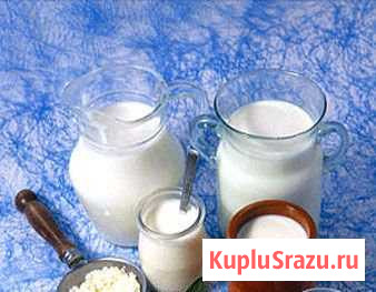 Молоко, сливки, творог Шебекино - изображение 1