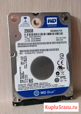 Свеженький жесткий диск WD 250гб Белгород - изображение 1