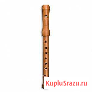 Блокфлейта сопрано, барочная система, Mollenhauer Воронеж - изображение 1