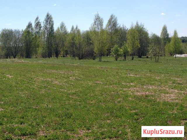  Балакирево - изображение 1