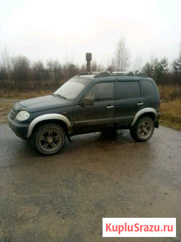 Chevrolet Niva 1.7 МТ, 2008, внедорожник Ново-Талицы - изображение 1