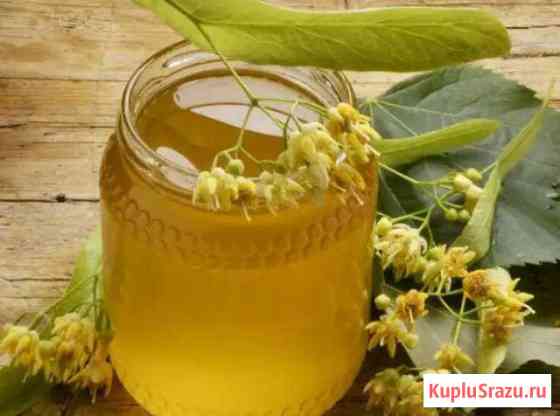 Продам Мед Борисоглебск