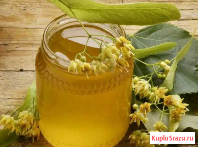 Продам Мед Борисоглебск - изображение 1