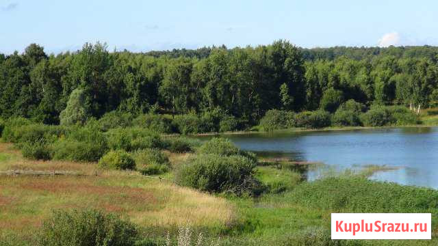  Светлогорск - изображение 1