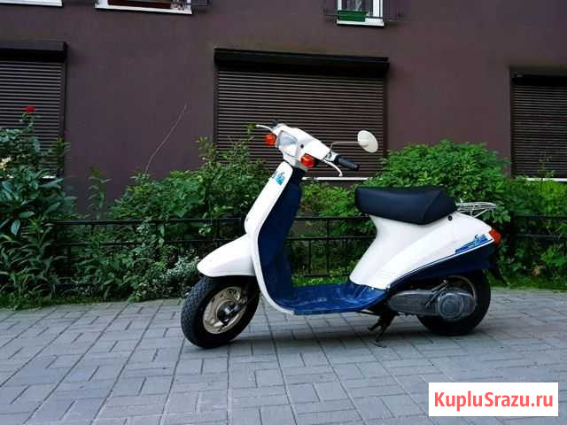 Скутер мопед Suzuki ran 2 Калининград - изображение 1