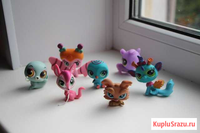 Littlest Pet Shop Обнинск - изображение 1