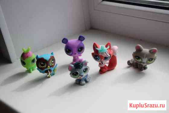 Littlest Pet Shop Обнинск