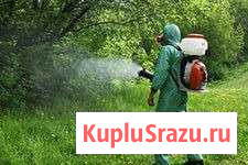 Уничтожение клещей, комаров, тараканов Кемерово - изображение 1