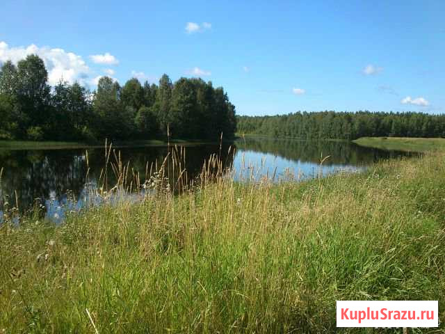  Кондопога - изображение 1