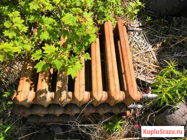 Батарея чугунная Петрозаводск - изображение 1