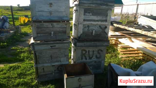 Продам улья бу Шумиха - изображение 1
