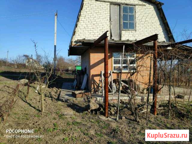  Курчатов - изображение 1