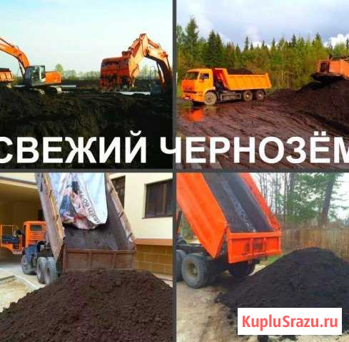 Чернозем, грунт, навоз, доставка Дьяконово - изображение 1