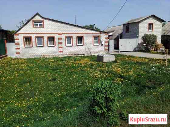  Курчатов
