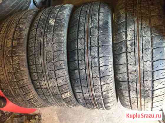 R 14 185/60 4 покрышки barguzin Энгельс