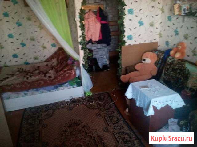  Кашин - изображение 1