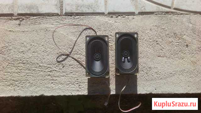 Динамики от телевизора Дмитров - изображение 1