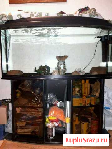 Аквариум Одинцово - изображение 1