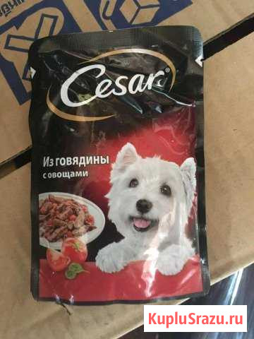 Корм для собак,влажный Долгопрудный - изображение 1
