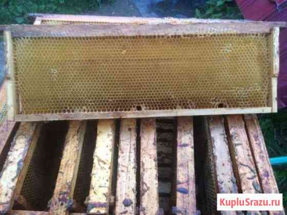 Рамки для пчел (сушь) Дмитров
