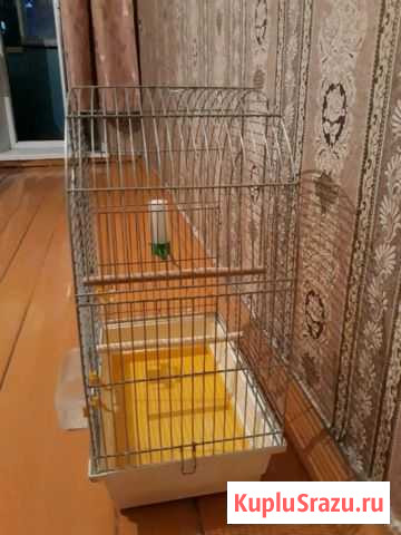 Клетка Куровское - изображение 1