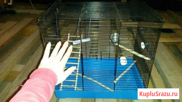 Клетка для птичек Одинцово - изображение 1