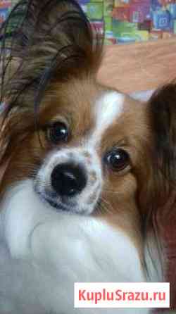 Ищу невесту Серпухов