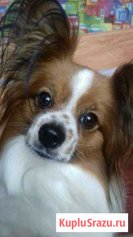 Ищу невесту Серпухов - изображение 1