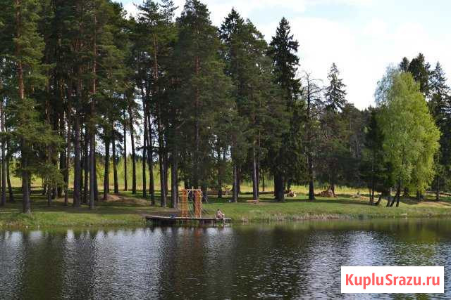  Лесной Городок - изображение 1