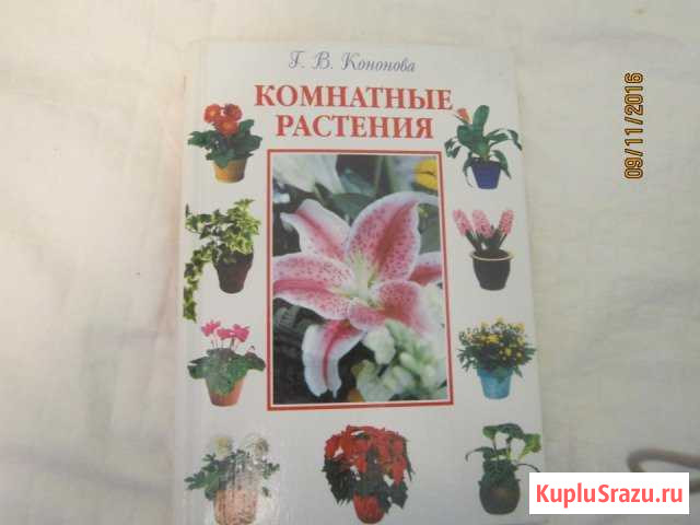 Книга Комнатные растения Орехово-Зуево - изображение 1