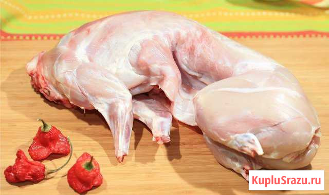 Продам мясо кролика Невьянск - изображение 1