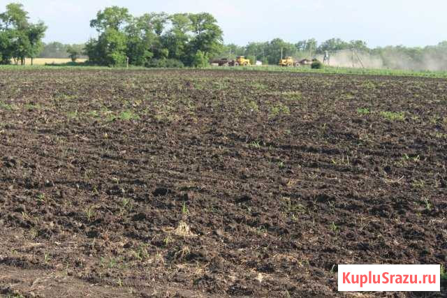 Готовый бизнес c карьерами 147 соток Глубокий - изображение 1