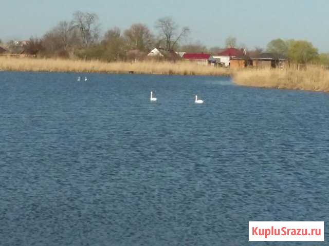  Кореновск - изображение 1