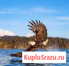 Чоппер 110 кубов Донецк - изображение 1
