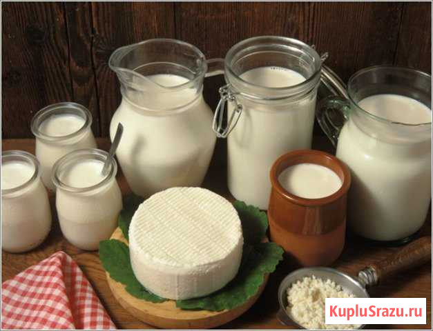 Козье молоко, сыр Приморско-Ахтарск - изображение 1