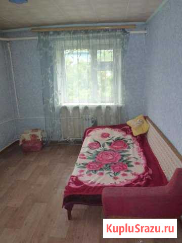  Петропавловск-Камчатский - изображение 1