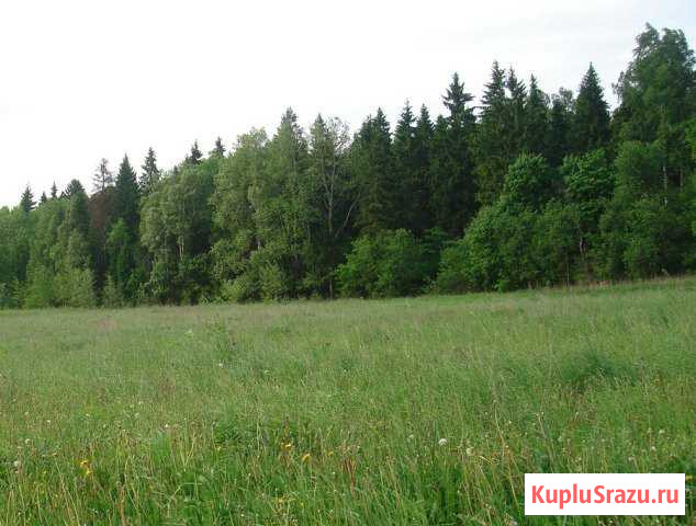  Тосно - изображение 1
