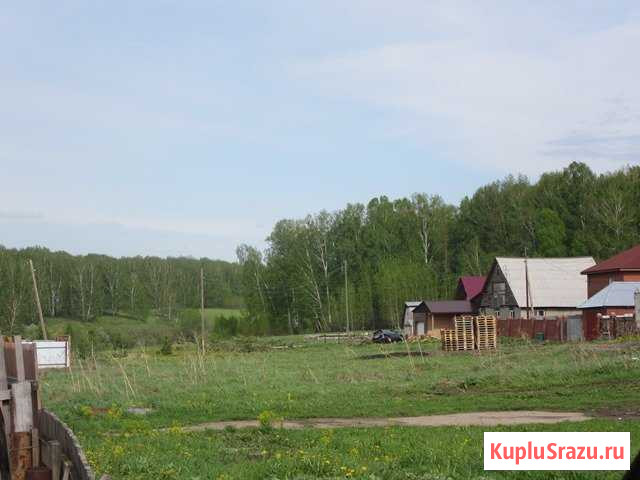  Сокур - изображение 1