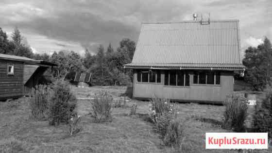  Кингисепп