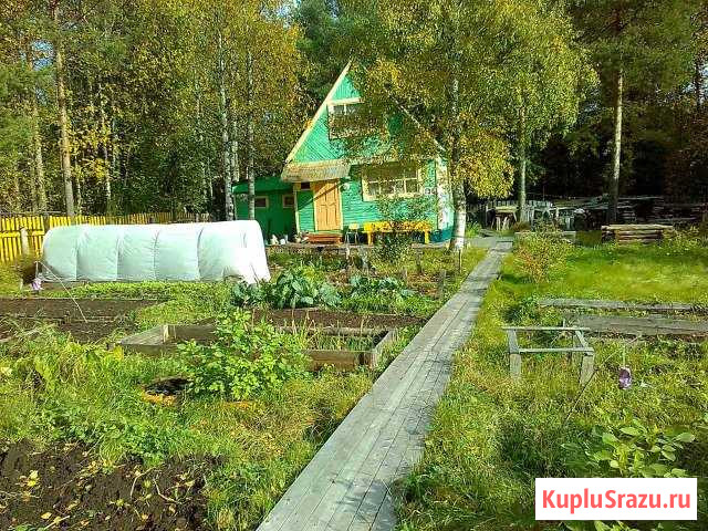  Новодвинск - изображение 1