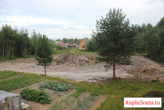  Коряжма - изображение 1