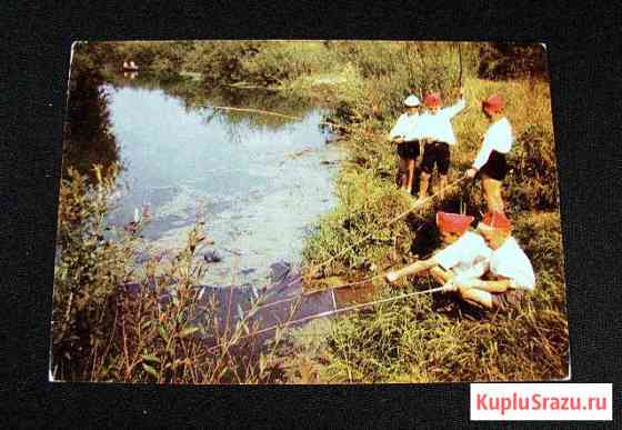 Открытка СССР. На рыбалке. Фото И. Шагина, 1965 г Белгород