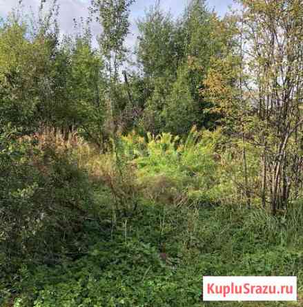  Петрозаводск