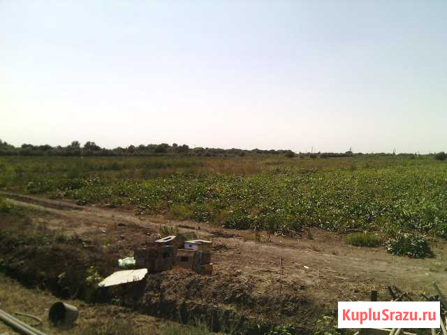  Красный Яр - изображение 1