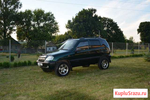 Chevrolet Niva 1.7 МТ, 2003, внедорожник Прохоровка - изображение 1