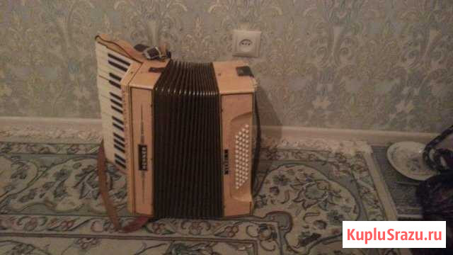 Акардеон Махачкала - изображение 1