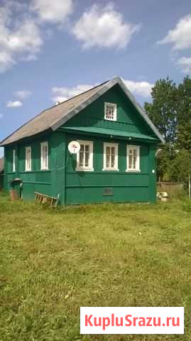 Дом 50 кв.м. на участке 16 сот. Парфино - изображение 1