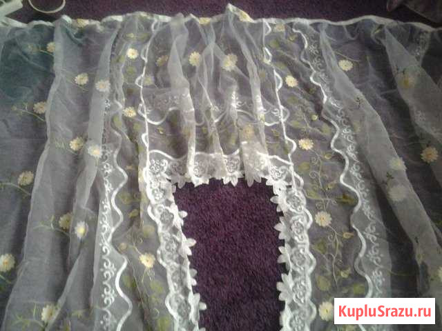 Отдам за коробку конфет Муром - изображение 1